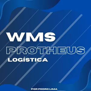 Imagem de capa para o Curso online WMS PROTHEUS