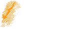 Elevate Creative Careers