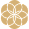 Numerologist PRO institute
