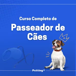 Imagem de capa para o Curso online Curso Completo de Passeador de Cães