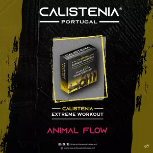 Imagem principal do produto Calistenia Extreme Workout - Animal Flow