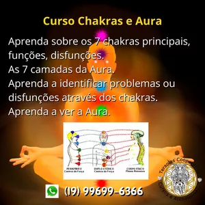 Imagem do curso Curso Chakras e Aura
