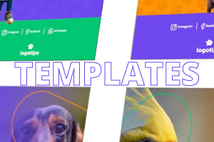 Premium Pack Editável Petshop: Templates Para Instagram — imagem 5
