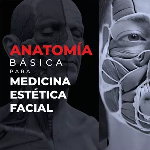 Imagen de portada para Curso online ESENCIAL CLÍNICO