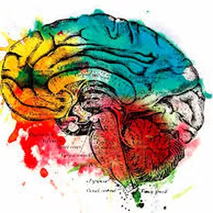 Imagen de portada para Evento online Estética Pro y Spa