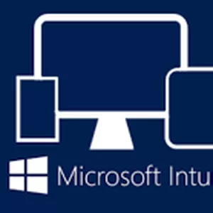 Imagem de capa para o Curso online Treinamento Microsoft Intune