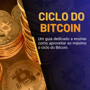 Ciclo Do Bitcoin