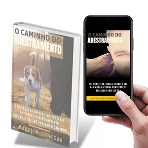 Imagem do curso O Caminho do ADESTRAMENTO - Seu GUIA para ter um CÃO EDUCADO