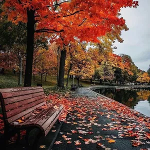 Imagem de capa para o Ebook Inclusão Livro  - A menina que ouvia com os olhos.