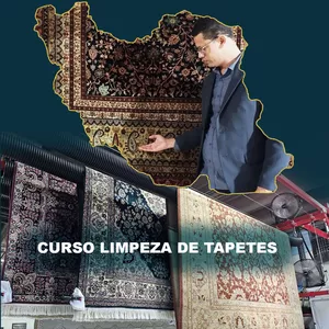 Imagem de capa para o Curso online Curso de limpeza de tapete oriental