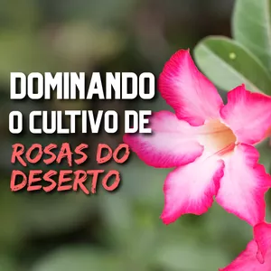 Imagem de capa para o Ebook Dominando o Cultivo de Rosas do Deserto