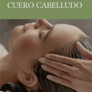 Imagen de portada para Ebook Diagnóstico capilar eBook “LA RAÍZ” EL LENGUAJE DEL CUERO CABELLUDO