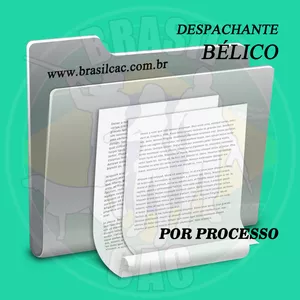 Imagem principal do produto DESPACHANTE BÉLICO - POR PROCESSO