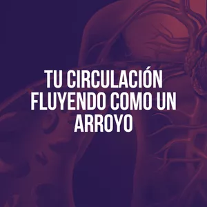 Imagen de portada para Ebook Tu circulación fluyendo como un arroyo