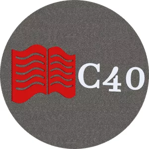 Imagem do curso C40 - Escrevendo 1 Cordel