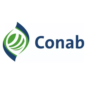 Imagem de capa para o Curso online SIMULADOS CONAB 2025 (ASSISTENTE ADMINISTRATIVO)