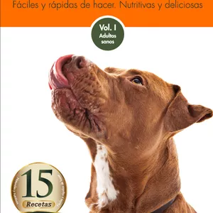 Imagem principal do produto 15 Recetas Caseras Saludables para tu Perro