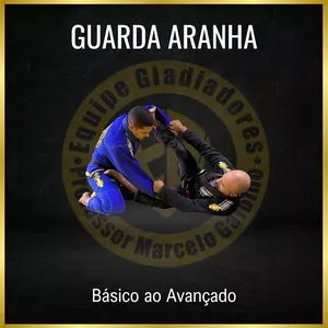 Imagem de capa para o Curso online Curso de Guarda Aranha