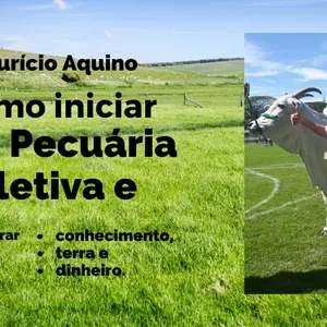 Imagem de capa para o Ebook Como iniciar Na Pecuária Seletiva e prosperar sem: Conhecimento, Terra e dinheiro.