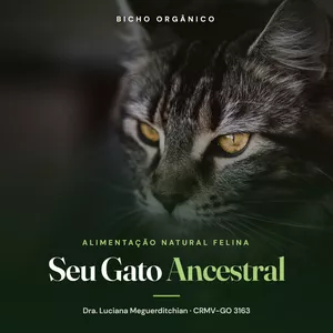 Imagem do curso Gato Ancestral