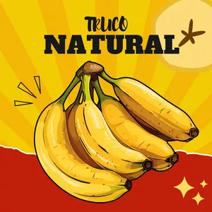 Imagen de portada para Curso online TRUCO NATURAL