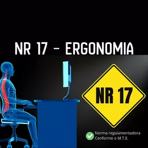 Imagem do curso NR 17 – Ergonomia