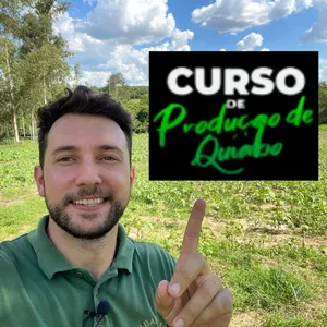 Capa do curso 