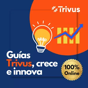 Imagen de portada para Curso online Guías Prácticas de Crecimiento e Innovación con Trivus: Consultora 100% Online para Emprendedores y Pymes