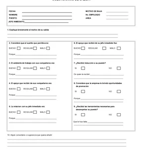 Imagen de portada para Ebook FORMATO BASICO DE SALIDA DE UN EMPLEADO