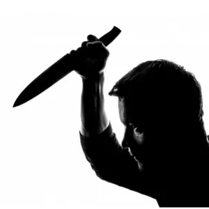 Imagem de capa para o Ebook Proteção Vital