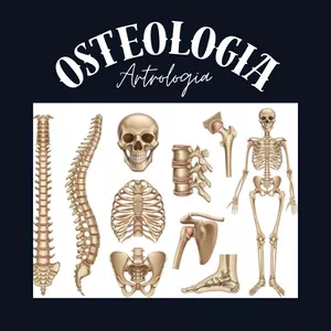 Imagem de capa para o Curso online Osteologia/Artrologia