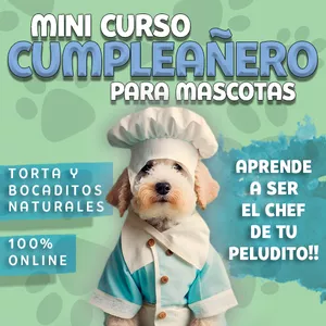 Imagen de portada para Curso online Mini Curso Cumpleañero para Mascotas