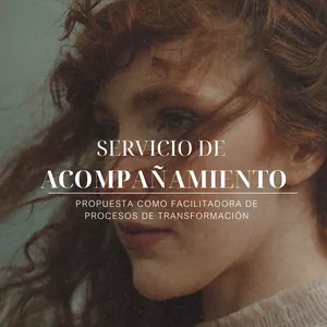 Imagen de portada para Ebook Servicio de  acompañamiento y mentoría