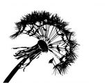 SOZO Holistic Healing  logo