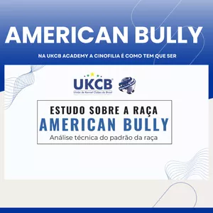 Curso AMERICAN BULLY AVANÇADO