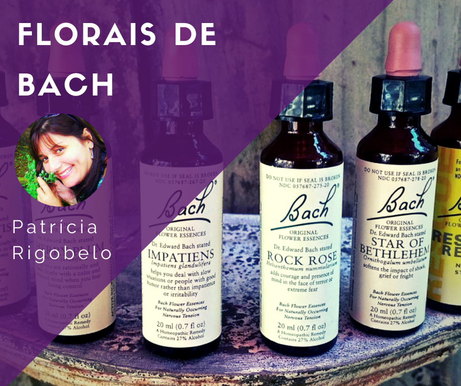 Imagem de Curso online - FLORAIS DE BACH criado por Escola de Transformação na hotmart