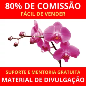 Imagem de capa para o Ebook Como Cuidar de Orquídeas