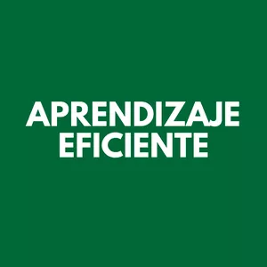 Imagen de portada para Ebook Aprendizaje eficiente 