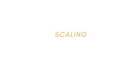 Get Sh!t Done SuperPower Scaling School logo