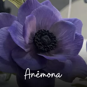 Imagem de capa para o Curso online Anêmona