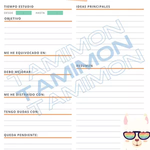 Imagen de portada para Curso online Planilla organizador de estudio