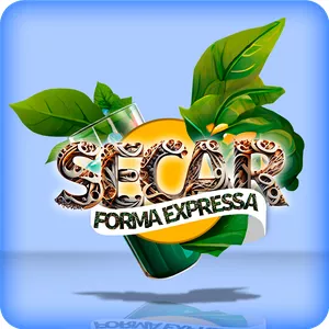 Imagem de capa para o Ebook SECAR FORMA EXPRESSA