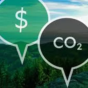 Imagem de capa para o Ebook E-book: Créditos de Carbono - Tudo o que você precisa saber