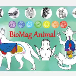 Imagem de capa para o Curso online Workshop Mesa Magnética BioMag Animal