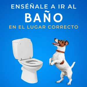 Imagen de portada para Ebook Enséñale a ir al baño en el lugar correcto