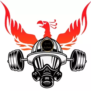 Imagem de capa para o Curso online Programa Fénix