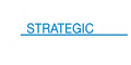 The Strategic Living Institute
