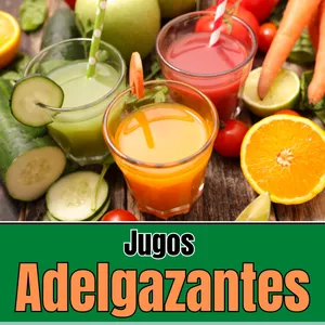 Imagen de portada para Ebook Jugos Adelgazantes