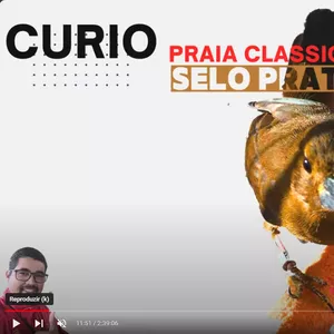 Imagem de capa para o Curso online curio canto classico LENTO | praia classico selo prata fh 30 anos LENTO, TREINO DIARIO PARDO 10 x 30 piladas