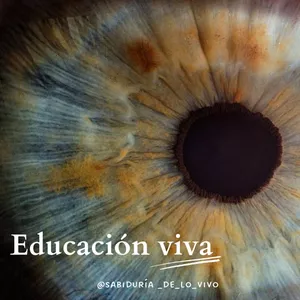 Imagen de portada para Ebook Formación de educación viva